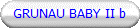 GRUNAU BABY II b